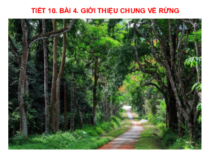 Bài giảng điện tử môn Công nghệ 7 Bài 4: Giới thiệu chung về rừng (Tiết 10) | Cánh diều