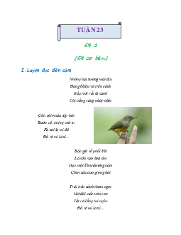 Bài tập cuối tuần lớp 2 môn Tiếng Việt Cánh Diều - Tuần 23 (Nâng cao)