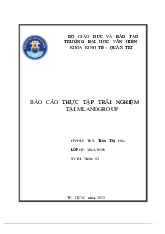 Tiểu luận Báo cáo Thực Tập Trải Nghiệm Ngành Nghề môn Tinh thần khởi nghiệp - Trường Đại học Văn Hiến.  