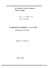 Tiểu luận  môn Môi trường và con người - Trường Đại học Văn Hiến.