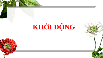 Giáo án điện tử Lịch Sử 7 KNTT - Bài 8  Kết Nối Tri Thức: Các Vương quốc Campuchia.