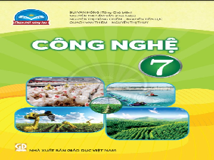 Giáo án điện tử Công nghệ 7 Bài 6 Chân trời sáng tạo: Rừng ở Việt Nam