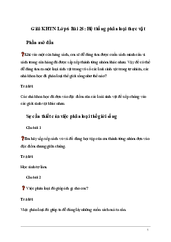 Giải KHTN Lớp 6 Bài 25: Hệ thống phân loại thực vật | Kết nối tri thức