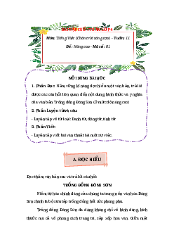 Bài tập cuối tuần Tiếng Việt lớp 4 Nâng cao Tuần 11 - Chân trời sáng tạo