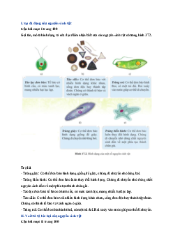 Giải sách giáo khoa môn Khoa học tự nhiên lớp 6 Bài 17: Đa dạng nguyên sinh vật  | Sách Cánh Diều