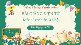 Giáo án điện tử Tự nhiên và Xã hội 2 Bài 4 Kết nối tri thức: Giữ sạch nhà ở