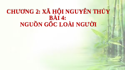 Giáo án điện tử Lịch Sử 6 KNTT - Bài 4 Kết Nối Tri Thức Với Cuộc Sống:  Nguồn gốc loài người.