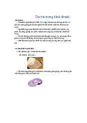 Thư tín trong kinh doanh | Giao tiếp kinh doanh