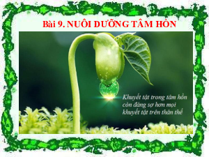 Bài 9: Lẵng quả thông| Bài giảng PowerPoint Ngữ Văn 6 | Chân trời sáng tạo