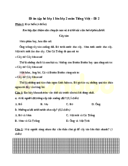 Bài tập ôn hè lớp 1 lên lớp 2 năm 2024 môn Tiếng Việt - Đề 2