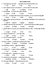 TOP 100 câu trắc nghiệm tiếng anh cơ bản 2 | Học viện tài chính