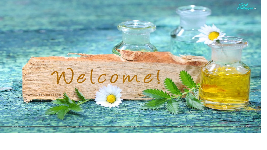 Giáo án điện tử  Tiếng Việt 4 KNTT -  Kết Nối Tri Thức:  Lựa chọn từ ngữ.