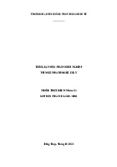 Tiểu luận Dự án tiệm handmade Lyly môn Khởi nghiệp | Đại học Đồng Tháp