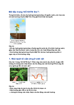 Giải SGK Khoa học tự nhiên 7 Bài 32: Cảm ứng ở sinh vật| Chân trời sáng tạo