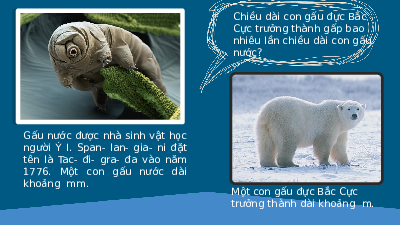 Giáo án điện tử Toán 6 Bài 26 Kết nối tri thức: Phép nhân và phép chia phân số (tiết 2)