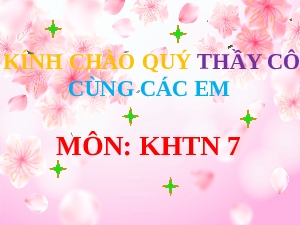Giáo án điện tử Khoa học tự nhiên 7 bài 13 Kết nối tri thức : Độ to và độ cao của âm