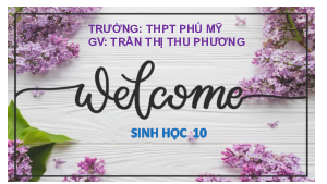 Bài giảng PowerPoint môn Sinh học 10 - Bài 21 | Cánh diều
