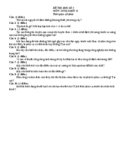 Đề thi học kỳ I lớp 11 THPT tỉnh An Giang năm 2012 - 2013 môn Sinh học | Kết nối tri thức