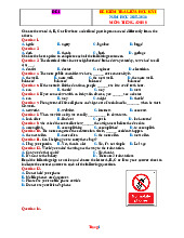 Bộ 5 Đề Ôn Tập Giữa Kỳ 1 Anh 9 Global Success 2025-2026 Có Đáp Án