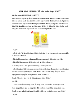 Giải Sinh 10 Bài 8: Tế bào nhân thực | Kết nối tri thức