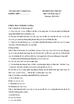 Đề thi học kì 1 môn Tin học 11 năm 2023 - 2024 sách Kết nối tri thức với cuộc sống | Đề 2