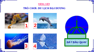 Giáo án điện tử Tiếng việt 3 Bài 14 Cánh diều: Chia sẻ và đọc: Rừng gỗ quý