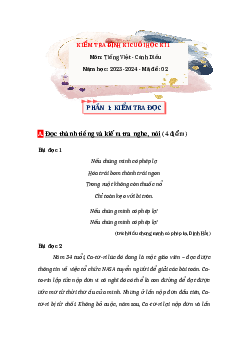 Đề thi Tiếng Việt lớp 4 học kì 1 Cánh Diều năm 2023 - Đề 2