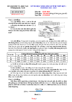 Đề thi học sinh giỏi cấp tỉnh THPT đợt 1 năm 2022-2023 Sở GD và ĐT Quảng Nam (có lời giải)