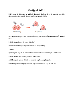 Giải Khoa học tự nhiên 8 bài: Ôn tập chủ đề 1 | Chân trời sáng tạo