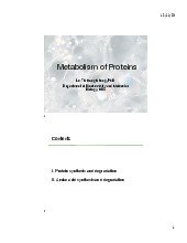 Protein Metabolism | Hoá phân tích | Trường Đại học Khoa học Tự nhiên, Đại học Quốc gia Hà Nội