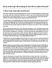 Số tự nhiên là gì? Gồm những số nào? Số tự nhiên là N hay N* | Toán 6