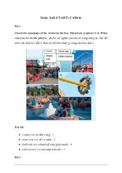 Giải Tiếng Anh 6 Unit 8: Culture - Friends Plus