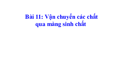 Bài 11 | Bài giảng PowerPoint môn Sinh học 10 | Chân trời sáng tạo
