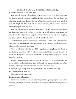 Giải bài tập trang 39 SGK Sinh học lớp 10: Tế bào nhân thực