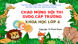 Giáo án điện tử Khoa học 4 Bài 16 Chân trời sáng tạo: Nhu cầu sống của động vật