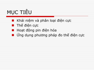Slide bài giảng môn Hóa lý bài Điện cực và pin điện