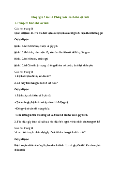 Giải Công nghệ 7 Bài 10: Phòng và trị bệnh cho vật nuôi | Cánh diều