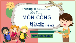 Giáo án điện tử Công nghệ 7 Bài 8 Kết nối tri thức: Trồng, chăm sóc và bảo vệ rừng