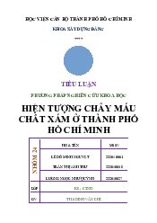 Tiểu luận hình tượng chảy máu chất xám - Triết học Mác-Lênin | Học viện Cán bộ Thành phố Hồ Chí Minh