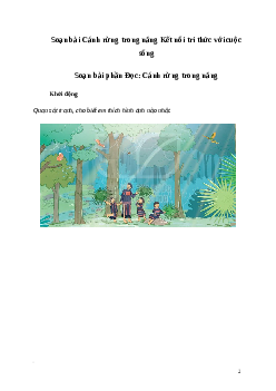 Soạn bài: Cánh rừng trong nắng | Kết nối tri thức