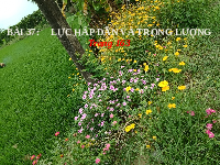 Giáo án điện tử Khoa học tự nhiên 6 bài 37 Chân trời sáng tạo : Lực hấp dẫn và trọng lượng