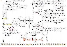 Ôn tập giữa kỳ môn Triết học | Trường Đại học Huế
