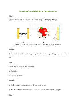 KHTN 8 Bài 16: Áp suất - Chân trời sáng tạo