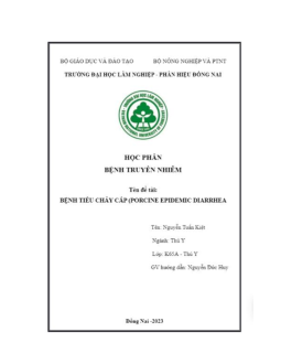 Tiểu luận "Bệnh tiêu chảy cấp (PED)"