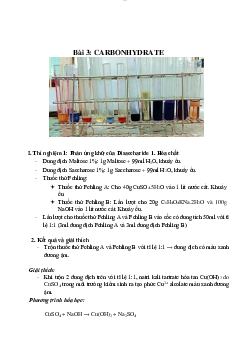 Báo cáo môn hóa sinh - carbohydrat