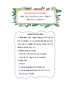 Phiếu bài tập cuối tuần Tiếng Việt lớp 3 Tuần 16 (Nâng cao) | Kết nối tri thức