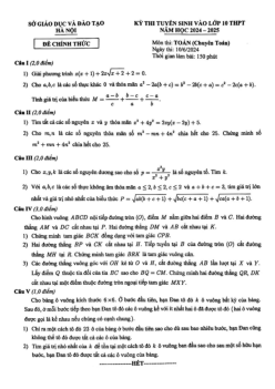 Đề tuyển sinh lớp 10 môn Toán (chuyên) năm 2024 – 2025 sở GD&ĐT Hà Nội