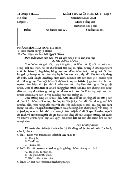 Đề thi giữa kì 1 lớp 5 môn Tiếng Việt năm 2020 - 2021