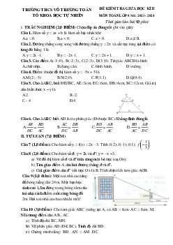 Đề thi giữa kì 2 Toán 8 năm 2023 – 2024 trường THCS Võ Trường Toản – BR VT