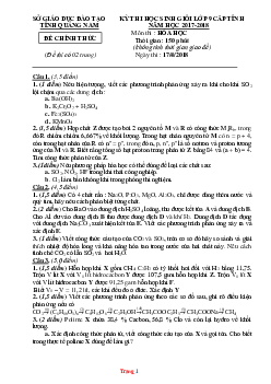 Đề thi học sinh giỏi lớp 9 năm 2017-2018 môn hóa học Sở GD Quảng Nam (có lời giải)